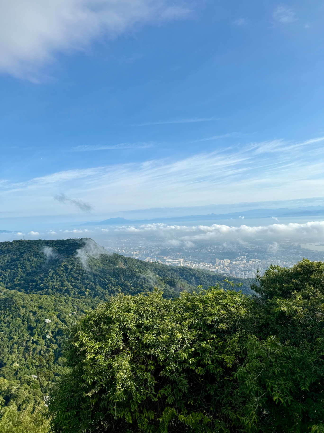 View over the rainforest of Tijuca National Park in Rio de Janeiro, Brazil, looking across low clouds to the city, Maracanã stadium and distant bay.