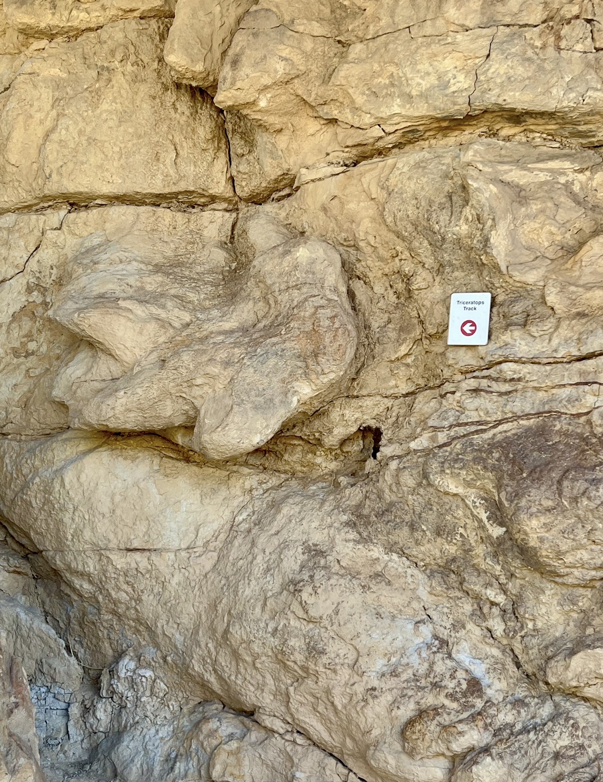 Rock face with a Triceratops Track sign in Golden