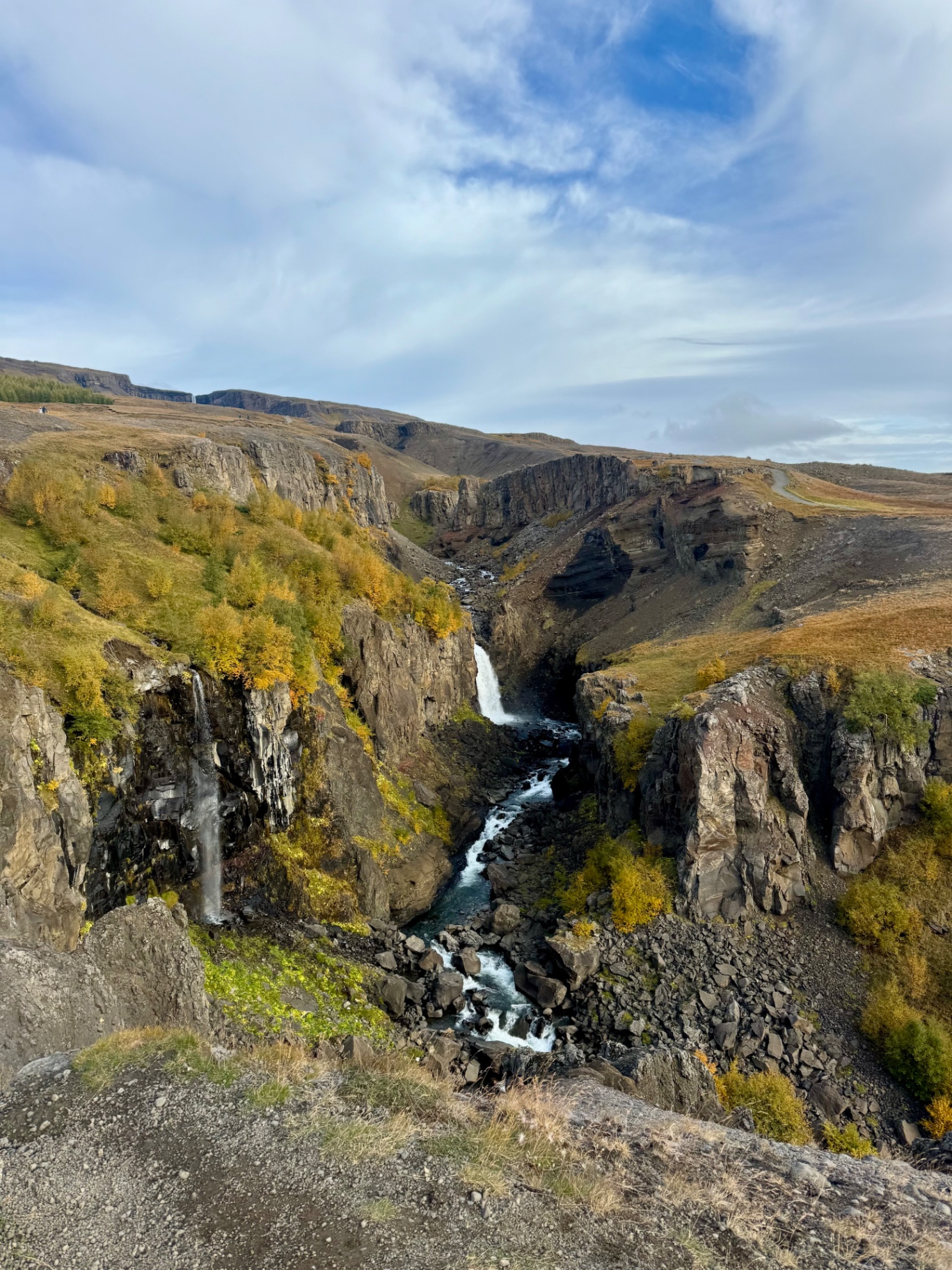 A waterfall dropping into a rocky Icelandic canyon lined with autumn-gold birch and layered basalt cliffs.