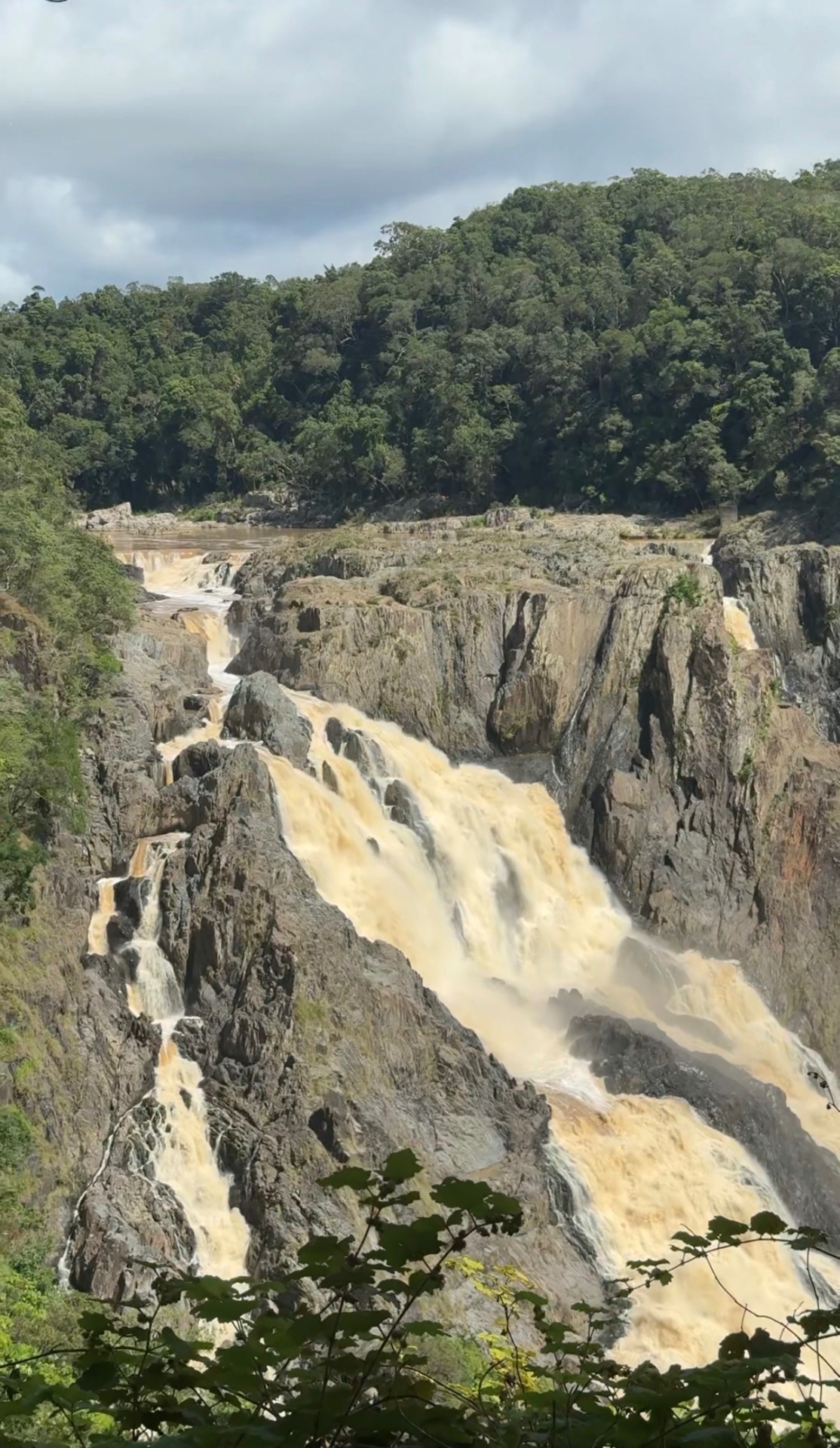 A waterfall cascading through tropical rainforest near Kuranda, Cairns