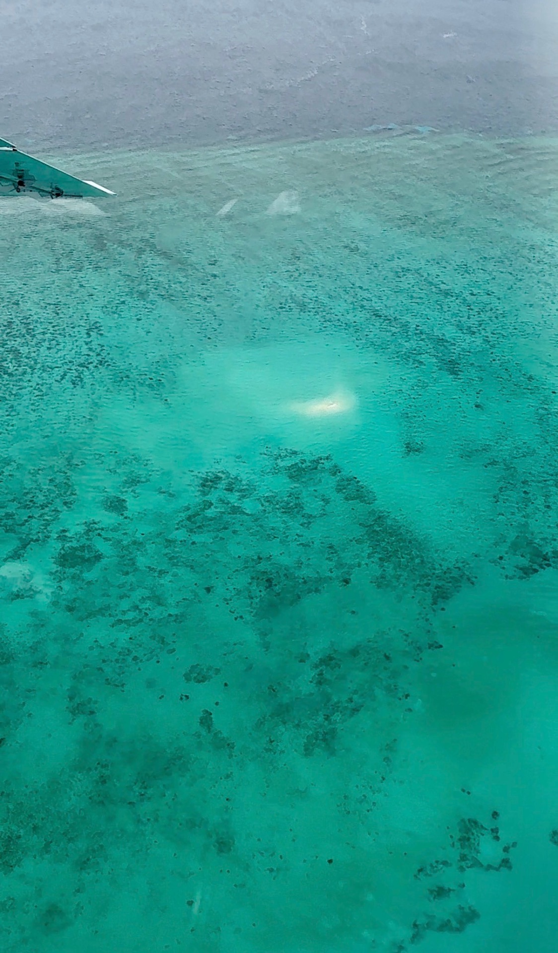 View of the Great Barrier Reef from a scenic flight, seen past the plane wing