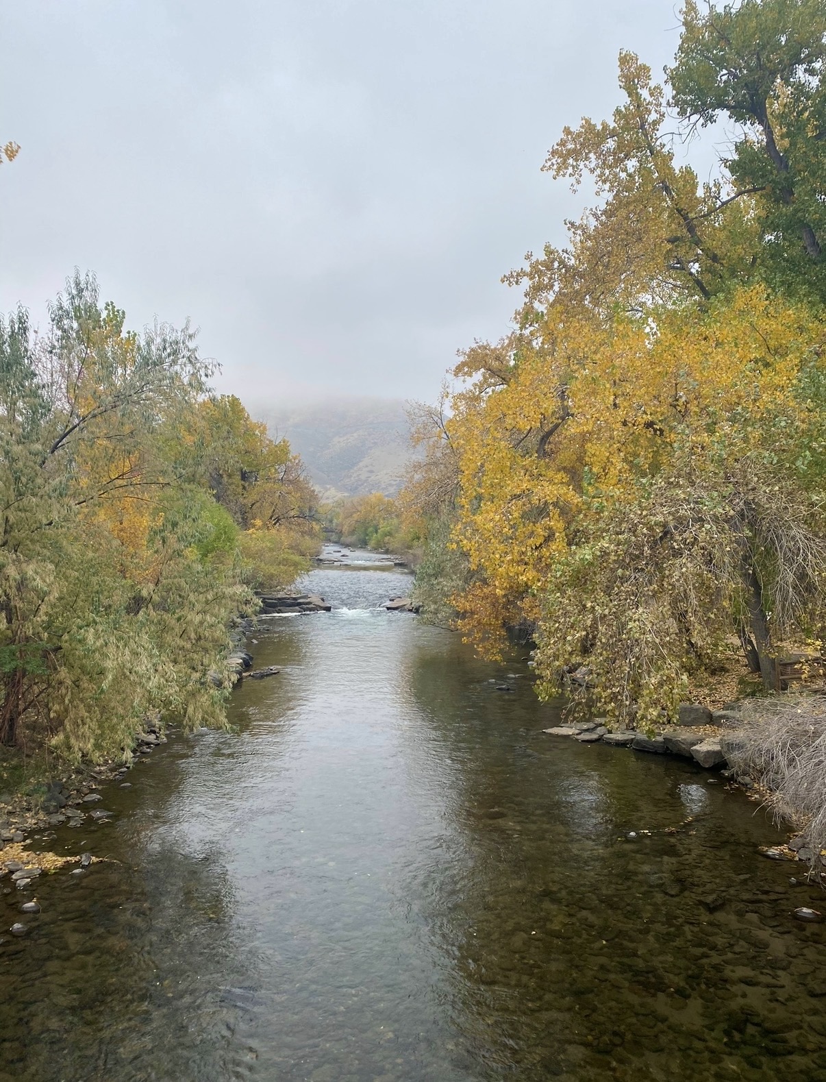 Clear Creek flowing between autumn trees toward a mist-covered mountain in Golden